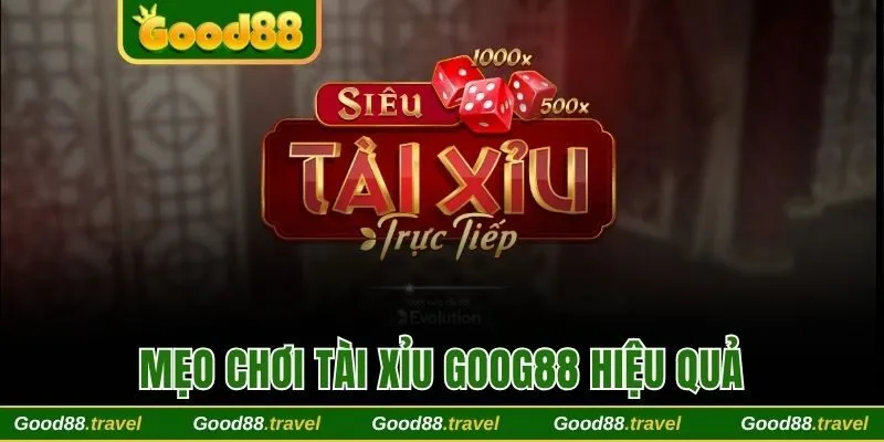 Kinh nghiệm chơi tài xỉu Good88 hiệu quả từ chuyên gia